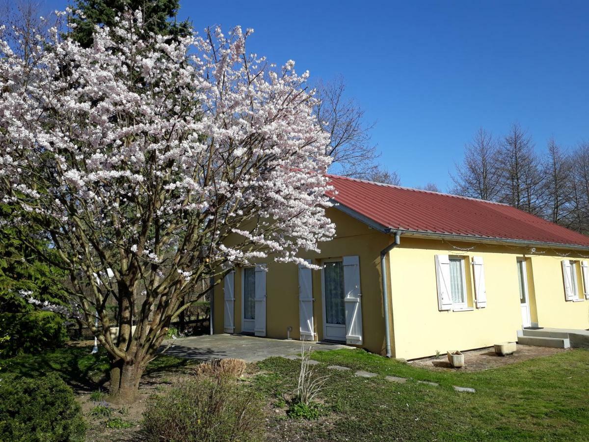 Maison De Manon Illhaeusern Kültér fotó